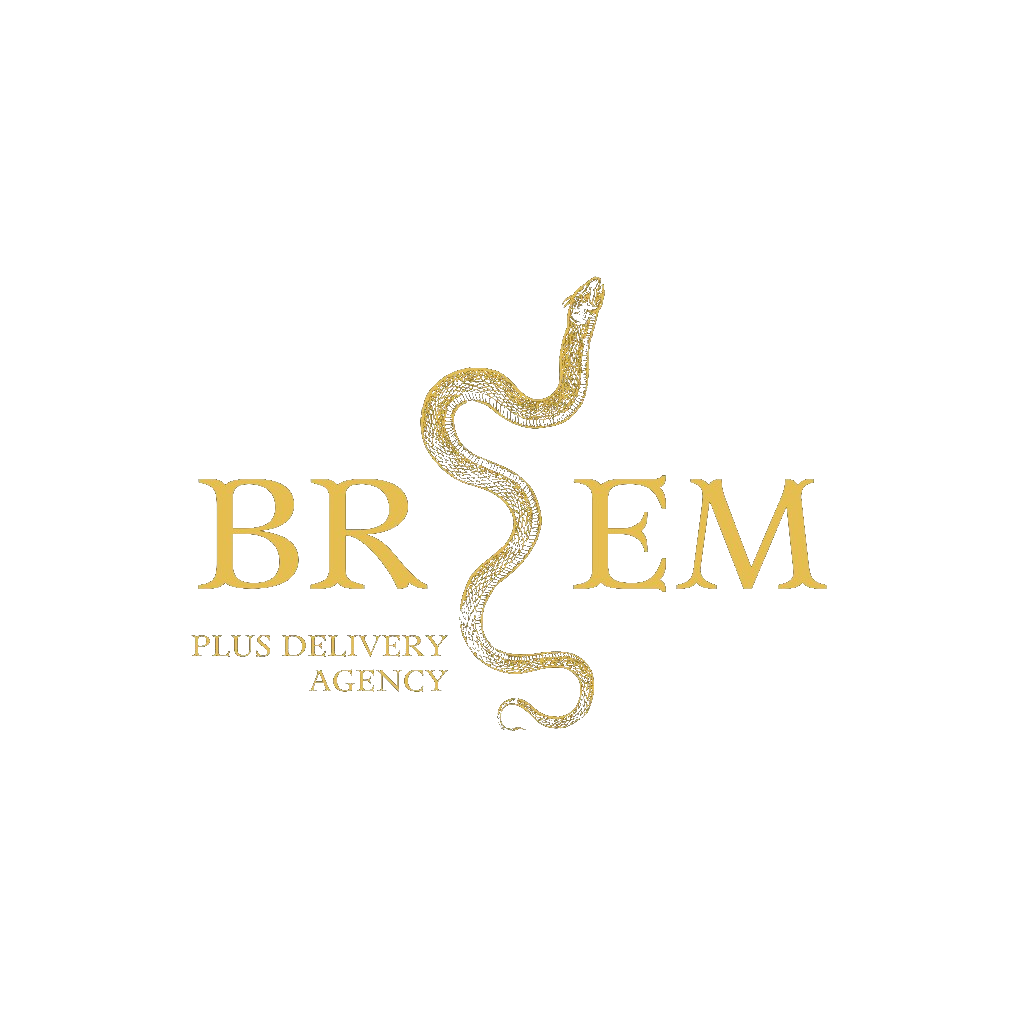 BREM Plus Delivery Agency